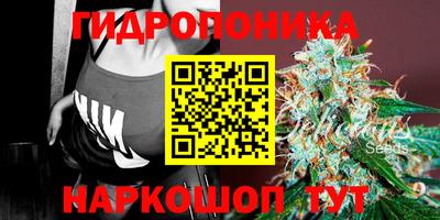 герыч Тверь
