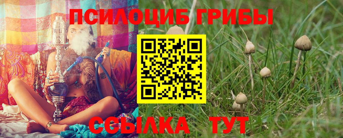 Галлюциногенные грибы Magic Shrooms Полысаево