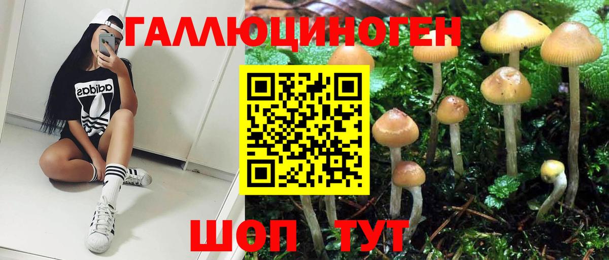 купить наркотики сайты  Псилоцибиновые грибы GOLDEN TEACHER  Вход с VPN  Полысаево 